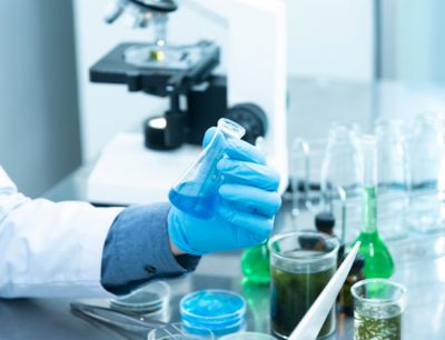 公司技术力量雄厚，生产设备、检测手段完善